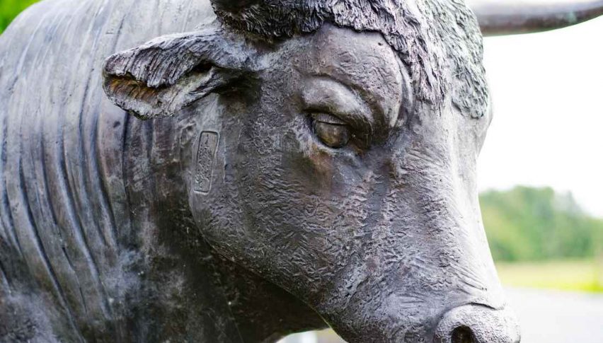 Bulls