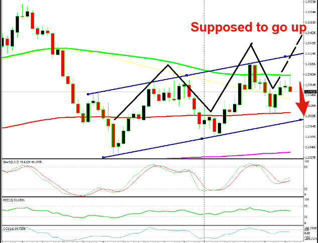 According to the trend, USD/CAD should move up, but it reversed at the 100 SMA