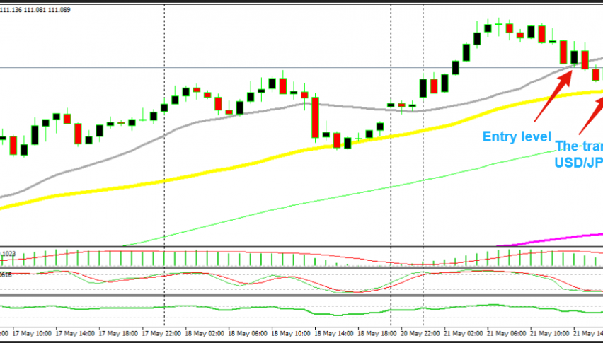 We went long at the 20 SMA, the sellers targeted the 50 SMA