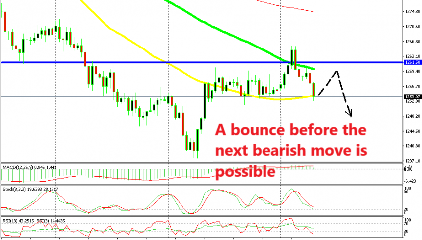 Selling a possible bounce at the 100 SMA would make sense on this chart