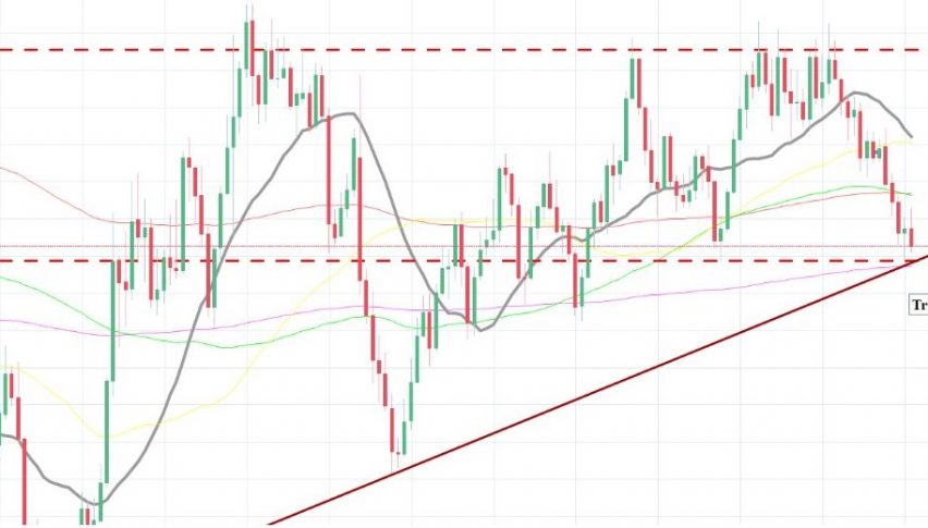 Gold - Weekly Outlook