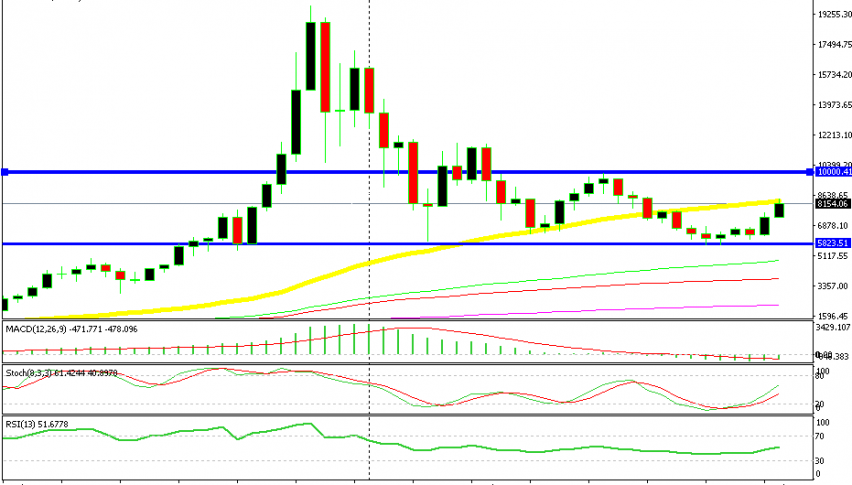 It seems as the 50 SMA won't let go this time