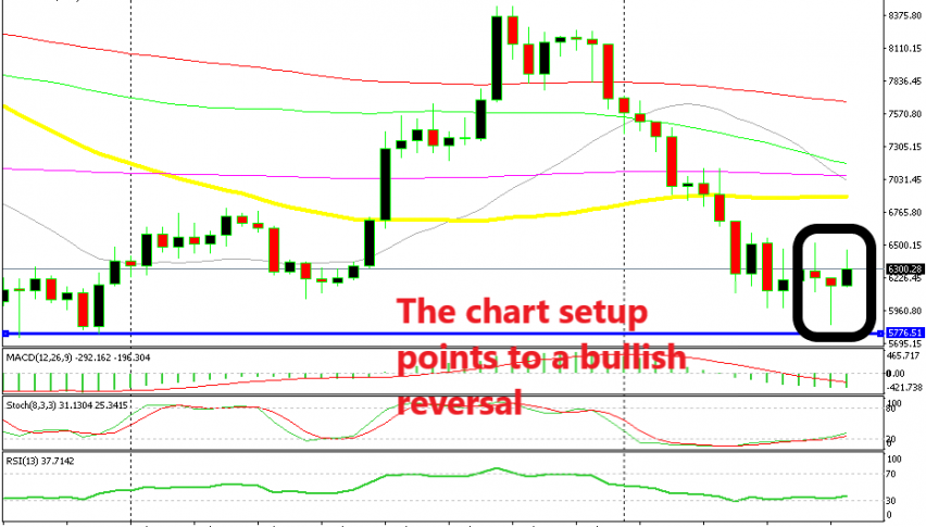 A bullish candlestick follows a hammer