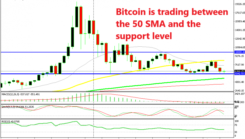 The support is holding at least