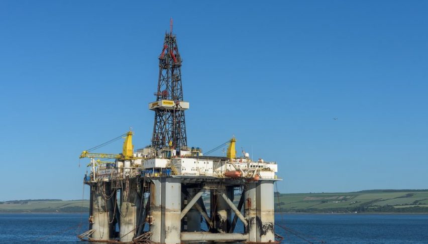 Oil