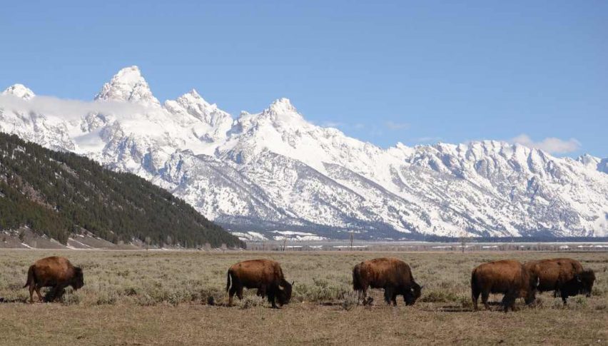 Jackson Hole