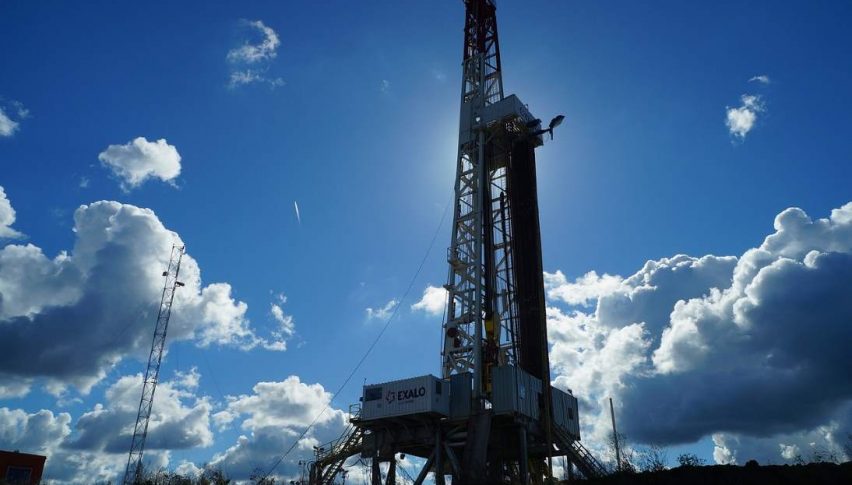Oil