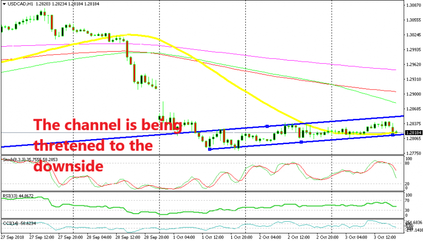 The 50 SMA has turned into strong support now