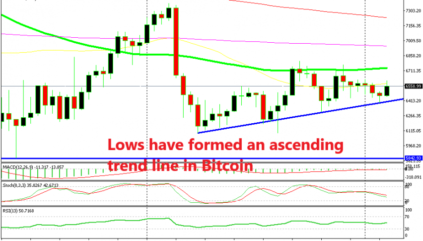 Yesterday's candlestick pointed to a bullish reversal