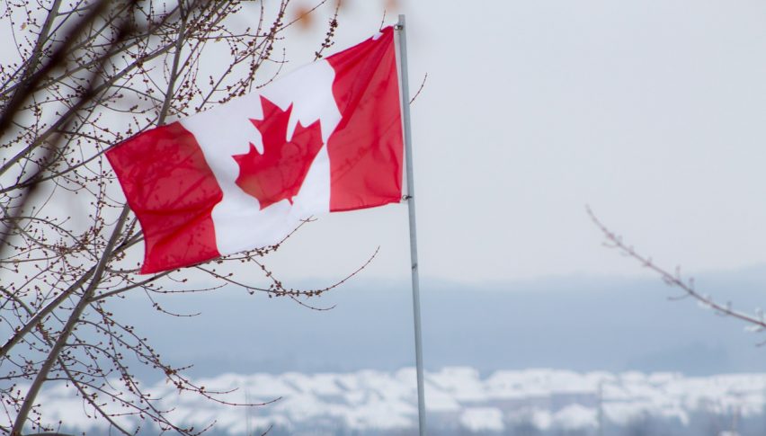 The BOC is Expected to Hike