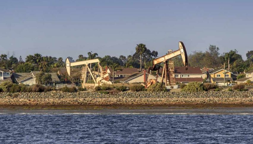 oil