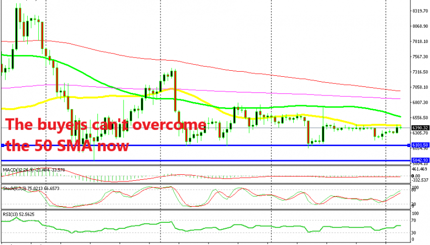 It seems that was it for the bullish move