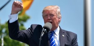 Elections in Focus