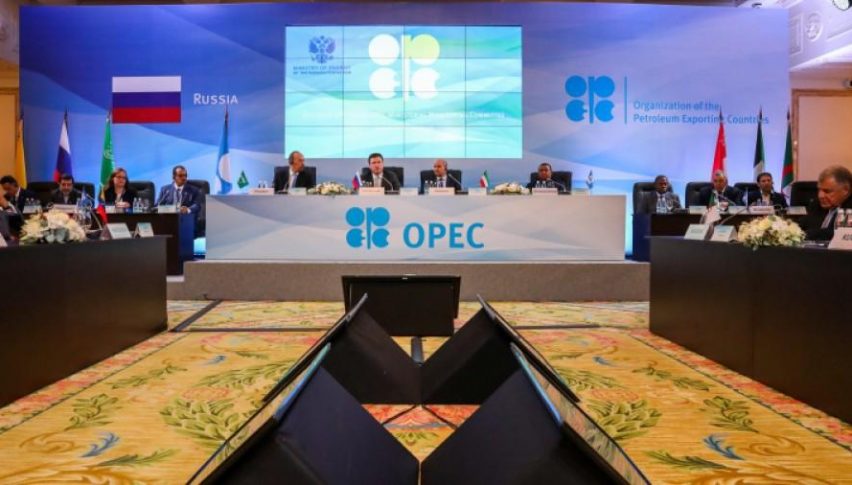 OPEC+ decided to cut Oil output by 1.2 million barrels/day