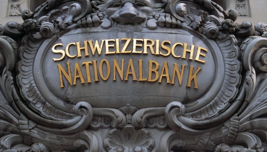 Swiss National Bank Board Member Martin Speaks
