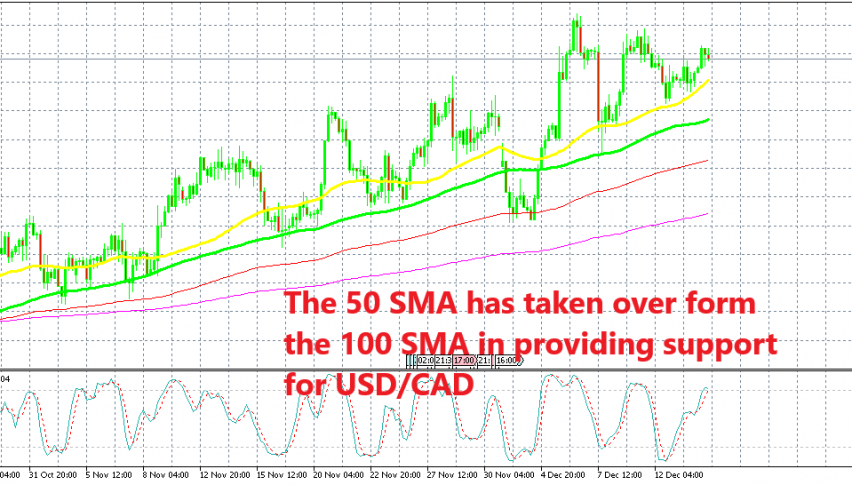 USD/CAD has bounced off the 50 SMA this week