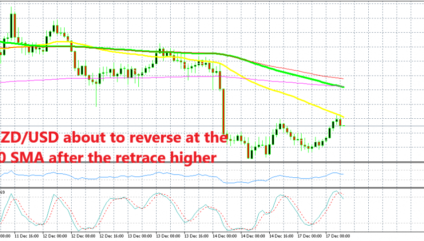 NZD/USD H1 chart