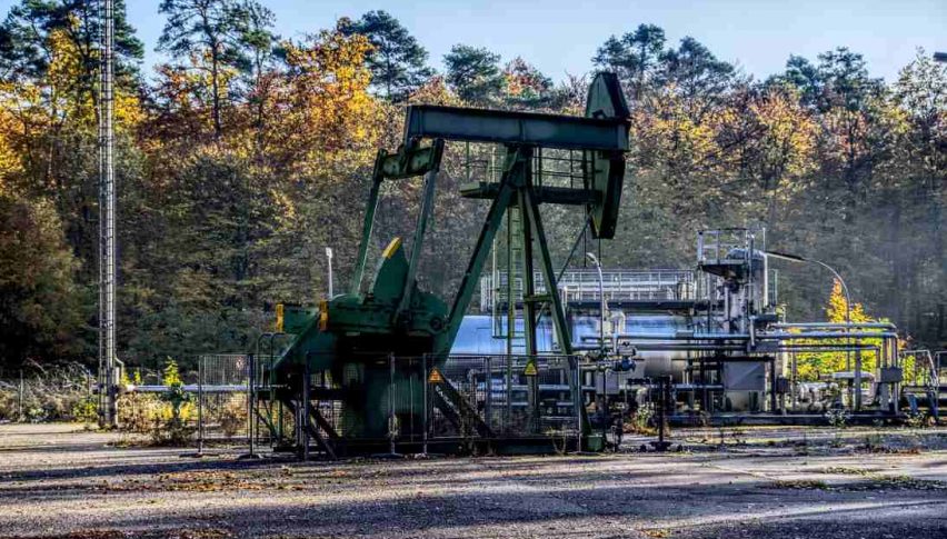 oil