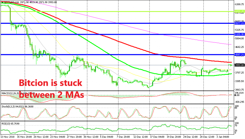 Bitcoin looks good for a sell signals