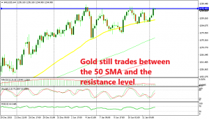 Another bounce from the 50 SMA in Gold