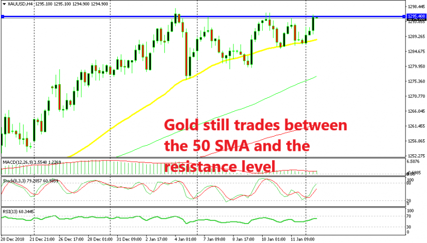Another bounce from the 50 SMA in Gold