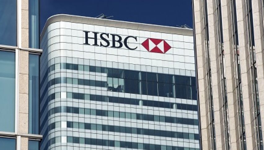 HSBC London economist claims the first ECB rate hike will be in late in 2020