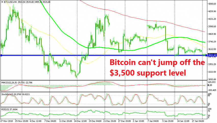 The support level seems in danger now