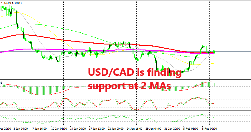 USD/CAD is trying to reverse the bearish trend
