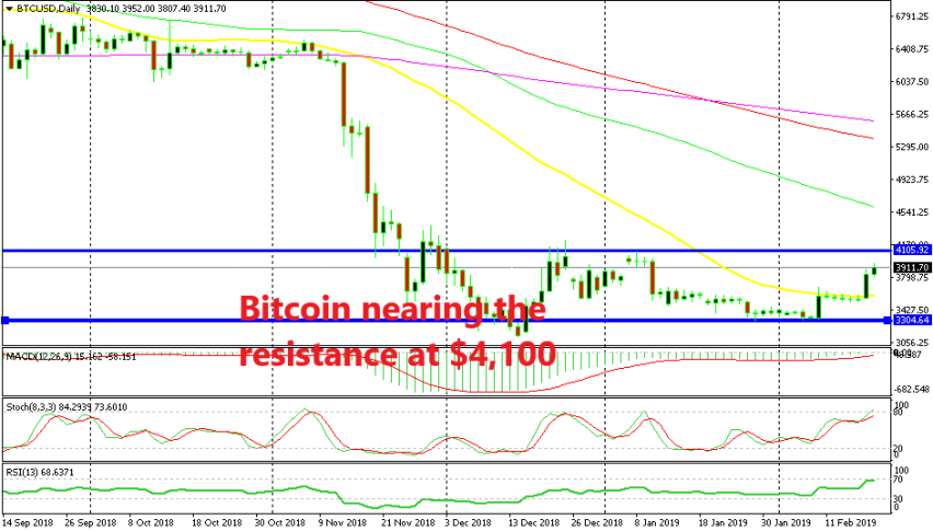 Bitcoin is becoming overbought on the daily chart