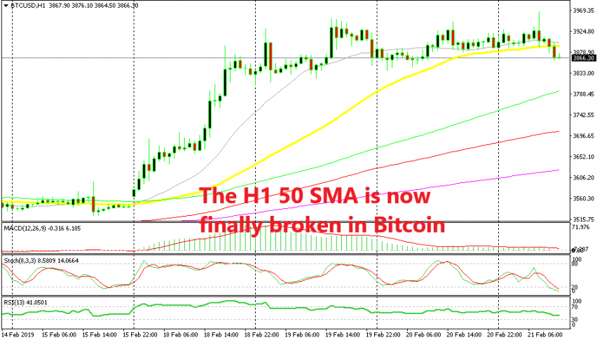 Let's hope the trend turns bearish now