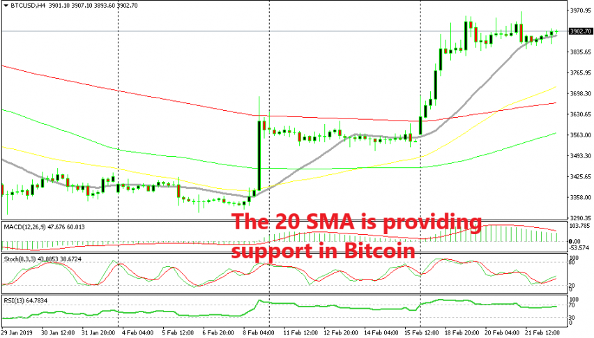 Until the 20 SMA is broken, Bitcoin remains bullish