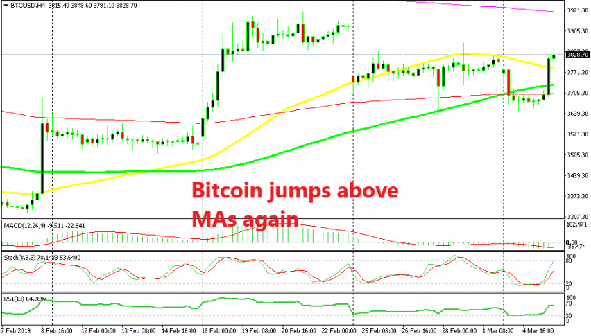 Bitcoin is trying to turn bullish again