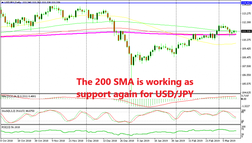 A bullish reversing pattern is forming on the daily chart