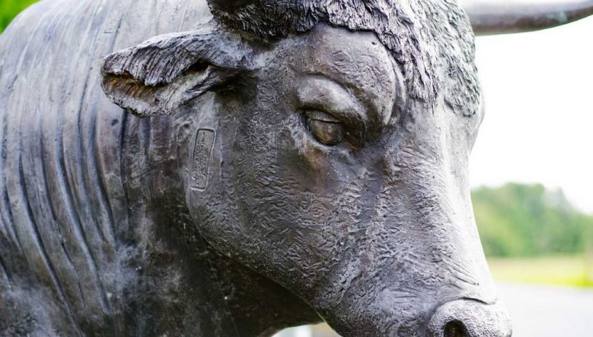 Bull market
