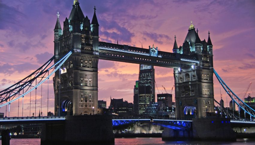 UK Employment in Focus