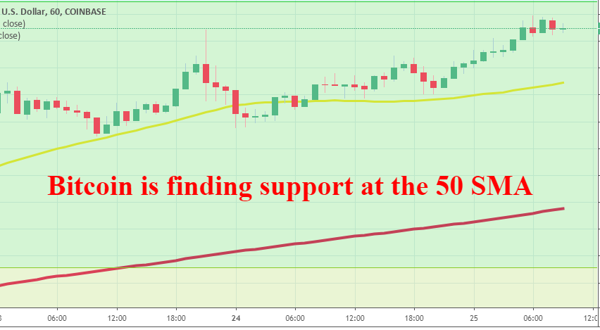 The 50 SMA is pushing Bitcoin up
