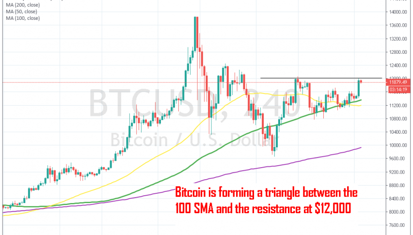 The buyers remain in control for Bitcoin