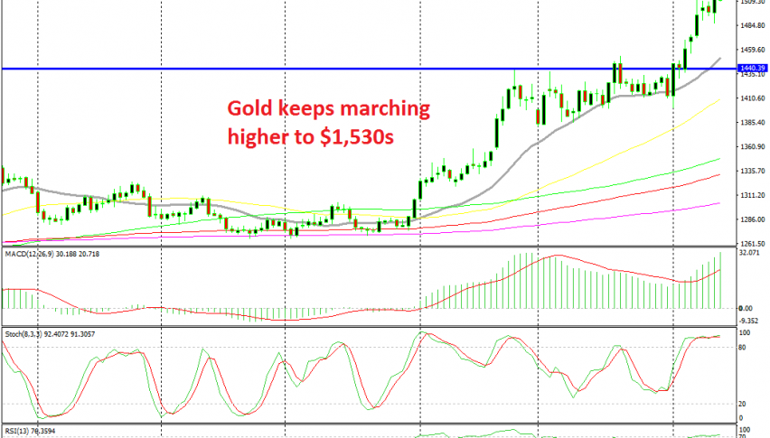 There's no stopping for Gold now