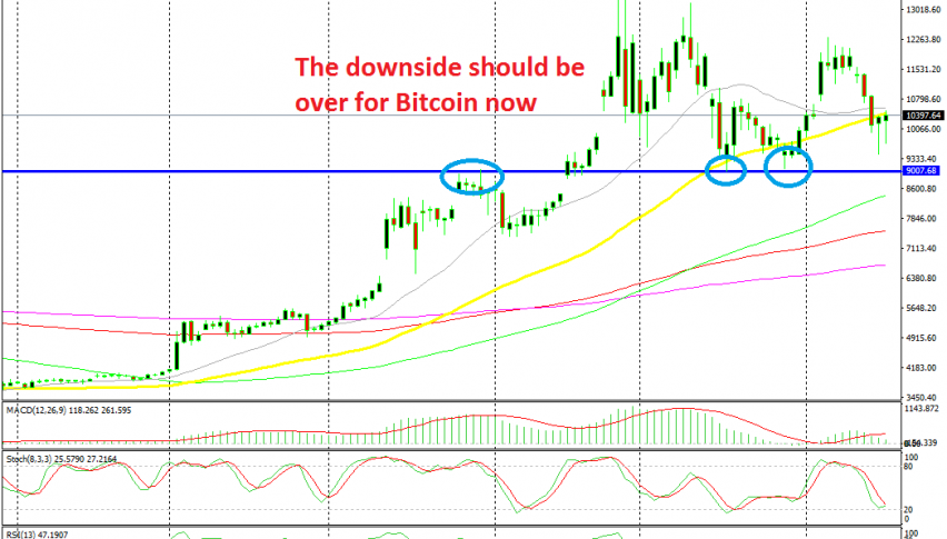2 hammer daily candlestick point up