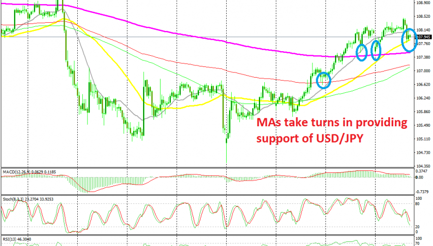 Let's see if the 50 SMA will keep the trend going now