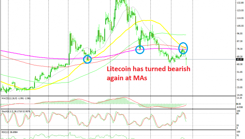 The retrace is over on the daily chart