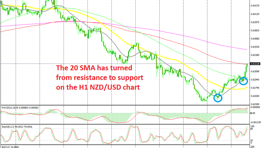 Buyers remain in control as long as the price stays above the 20 SMA