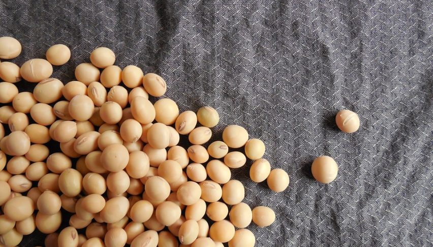 China's soybean imports from the US soar in August
