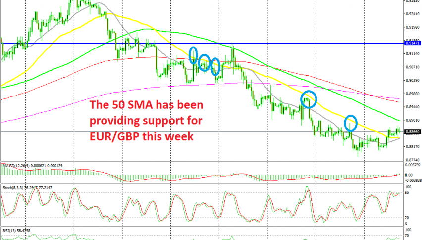 EUR/GBP has turned bullish this week