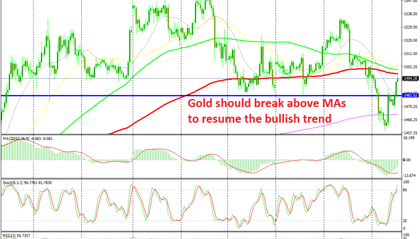 Decision time for Gold trader now