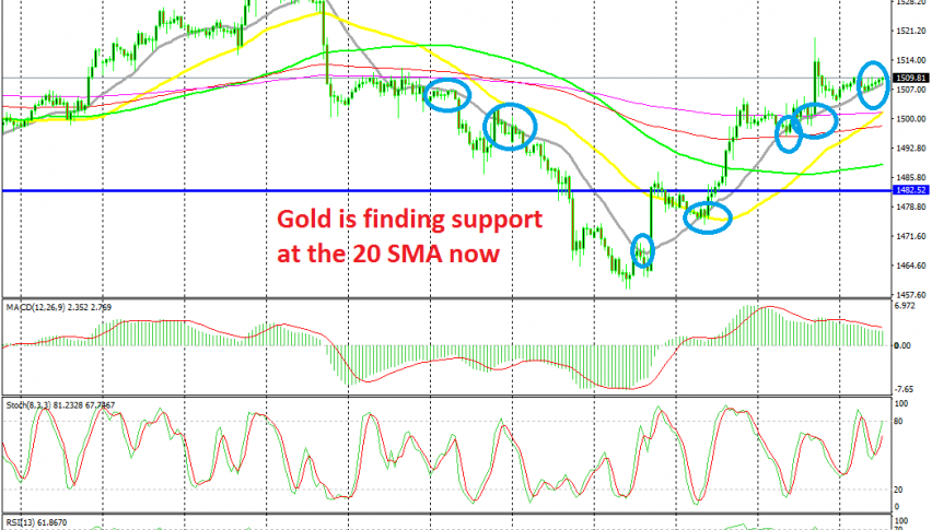 The trend has shifted to bullish again for Gold