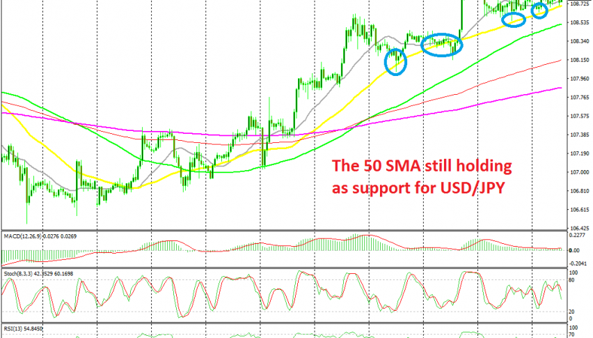 USD/JPY remains bullish this week