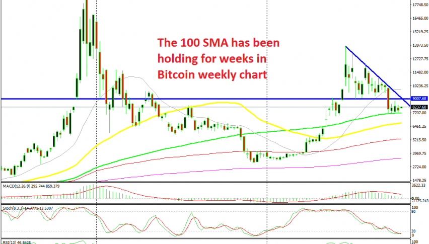 The 50 SMA has been providing solid support