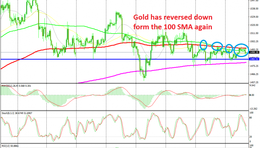 Gold continues to remain range bound