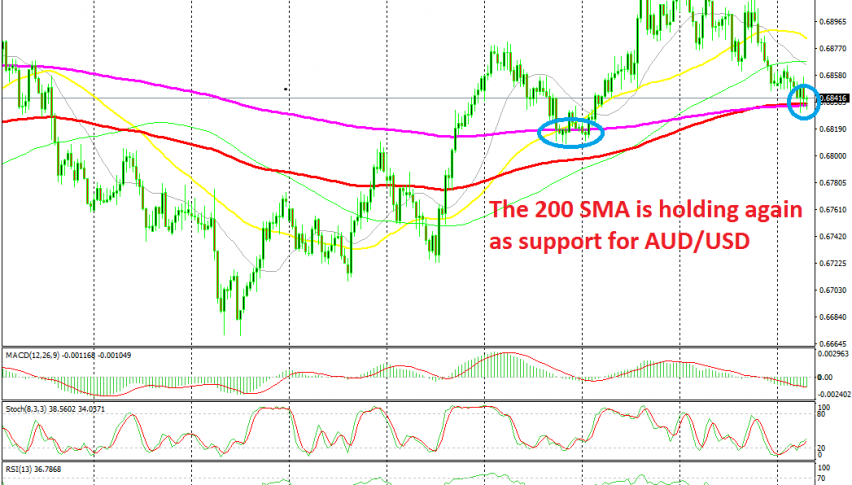 Let's see if sellers will have enough strength to break the MAs